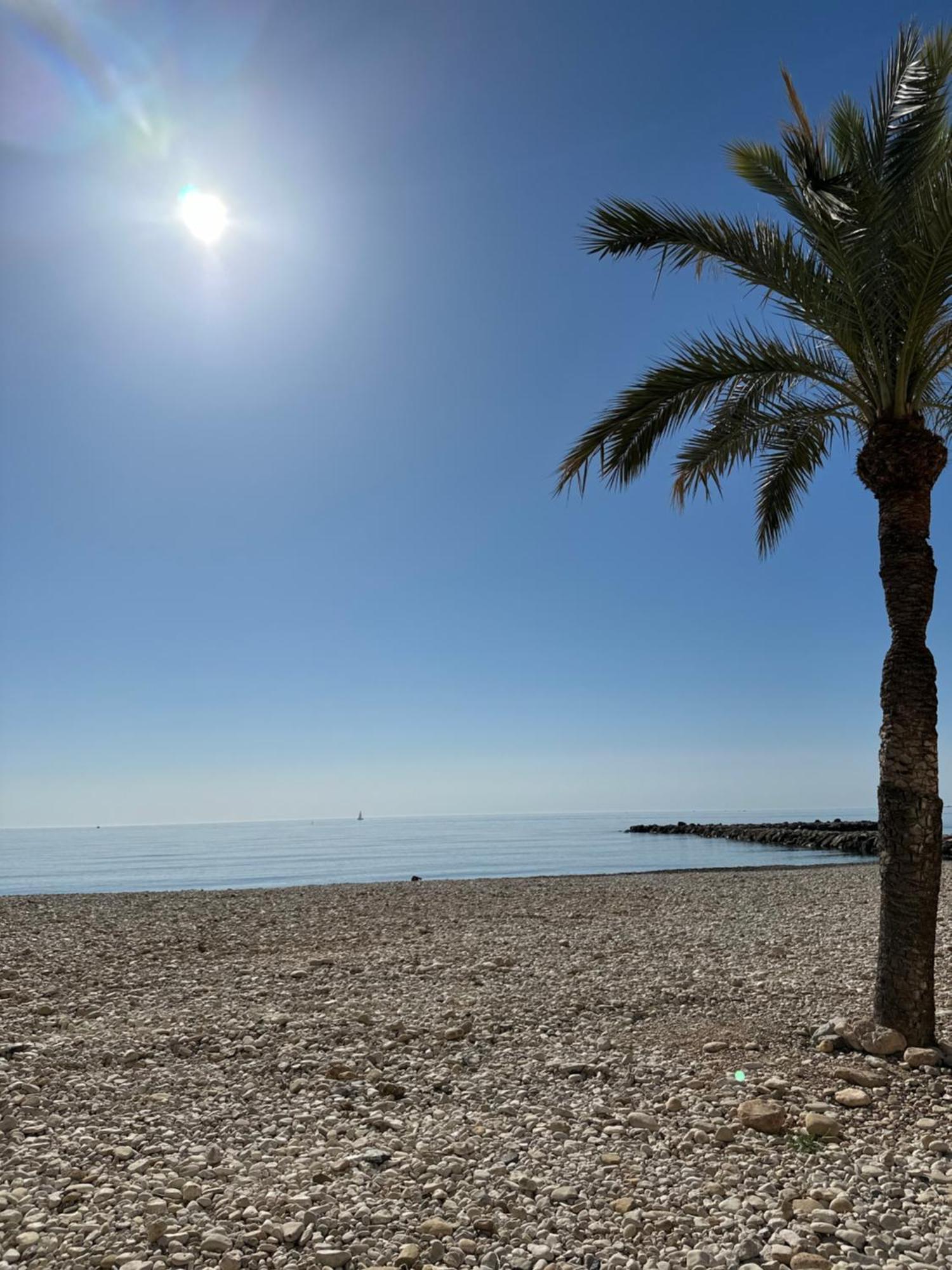 Precioso Apartamento De 3 Dormitorios Con Acceso Directo A La Playa Алтеа Екстер'єр фото